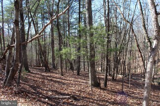 0 Clark Rd Unit VASH2005318, Basye, VA 22810
