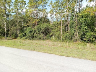6397 Norman St, Webster, FL 33597