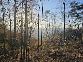 407 Brow Wood Ln, Lookout Mountain, GA 30750