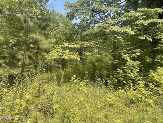 282 County Road 285 Unit 286, Niota, TN 37826