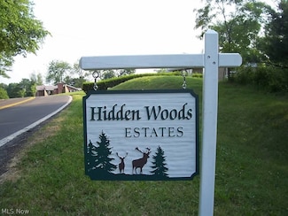 0 Wylie Ridge Rd Unit 3890573, Weirton, WV 26062