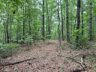 72 Water View Ln, Monteagle, TN 37375