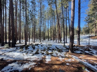 NHN Leanin Tree Ln, Pablo, MT 59864