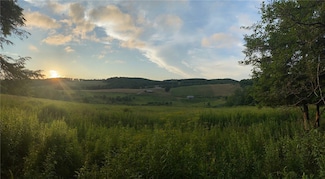 377 Bingham Center Rd, Genesee, PA 16923