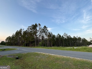 0 LAKEVIEW DR Lakeview Dr, Homerville, GA 31634