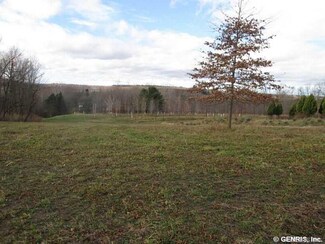 0 Walker Rd Unit R308501, Palmyra, NY 14522
