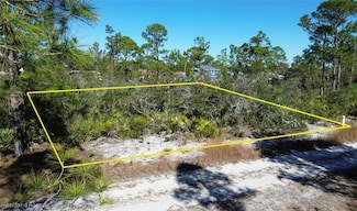 341 Brant Ave, Sebring, FL 33870