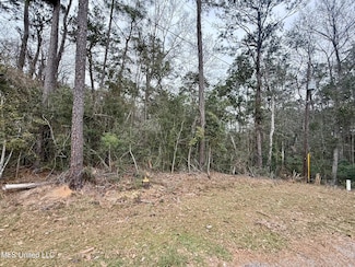 8497 Op La Way, Diamondhead, MS 39525