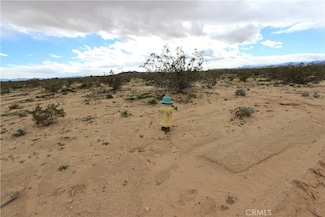 0 Mallow Ave, Landers, CA 92285