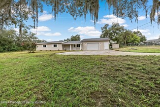 14179 Mulkerin Dr, Weeki Wachee, FL 34614