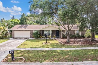 2213 Laurel Oak Dr, Valrico, FL 33596