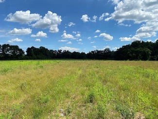 25.5+/-ac National Rd (25 5+-Ac), Rehobeth, AL 36301