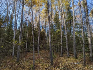 000 Wilson Flowage Rd E, Phillips, WI 54555