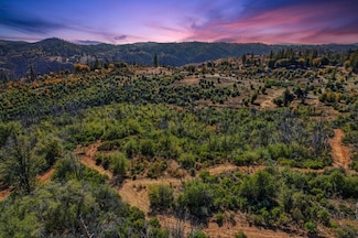 19292 Shawnee Trail, Mokelumne Hill, CA 95245