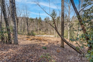 99999 Christa Ln Unit 3, Arden, NC 28704