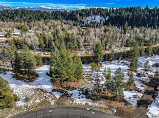 16 Evening Star Ct, McCall, ID 83638