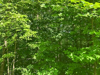 0 Upper Howes Way Unit 5008125, Wilmington, VT 05363