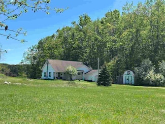 11323 Wildwood Rd, Alanson, MI 49706