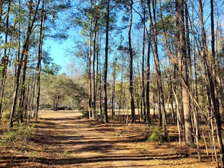 7085 Inman Rd, Meggett, SC 29449