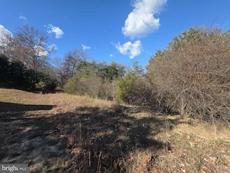 13 Yeager Ct, Landes Station, WV 26847