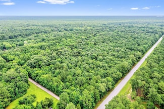 420 Buster's Paradise, Cordesville, SC 29434