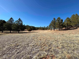 Tract 74 Turkey Trail, Custer, SD 57730
