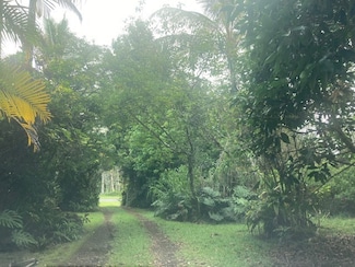161265 40th Ave, Keaau, HI 96749
