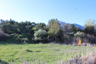 TBD Gunnison Mountain Ln, Paonia, CO 81428