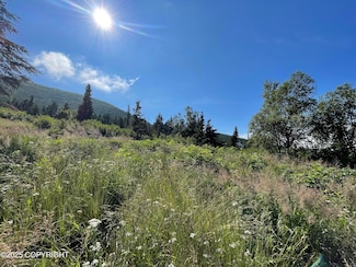 L14A B10H Harwood Cir, Anchorage, AK 99516