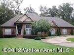 330 Harrison Shipman Rd, Jasper, AL 35503