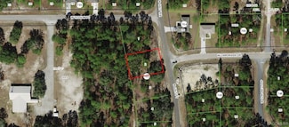 7478 N Galt Point, Citrus Springs, FL 34434