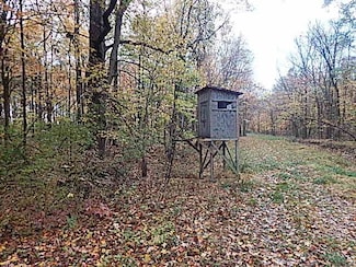 6524 W Montgomery Rd, Camden, MI 49232