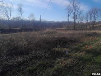 4905 N Valley View Rd, Edwards, IL 61528