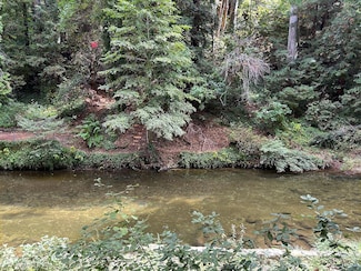 11085 Riverside Rd, Brookdale, CA 95005