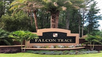 1543 Nestlewood Trail, Orlando, FL 32837
