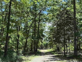 675 Browns Creek Rd, Ravenden, AR 72459