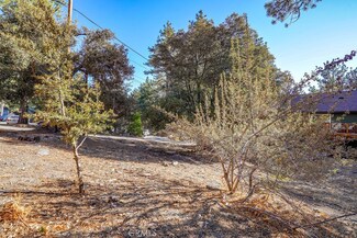 1127 Twin Lakes Rd, Wrightwood, CA 92397