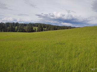 Parcel 13 Red Fir Rd, Kooskia, ID 83539