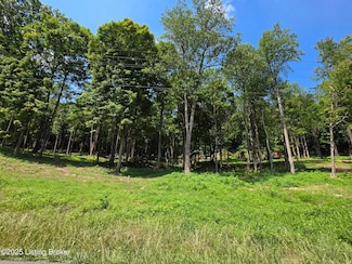 4 Cave Creek Rd, Falls of Rough, KY 40119