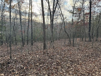 28/32 Stuart Ridge Rd, Mineral Bluff, GA 30559