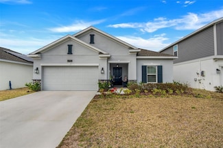 6992 Dilly Lake Ave, Groveland, FL 34736