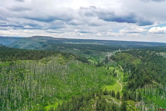 Lot 3 Cottonwood Ranches Subdivision, Dolores, CO 81323