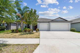 10822 Crushed Grape Dr, Riverview, FL 33578