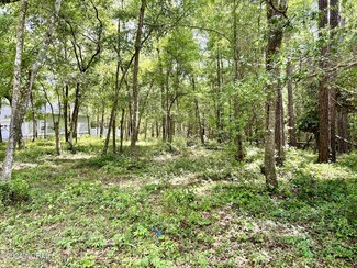 1119 Indigo Branch Rd SW, Lockwoods Folly, NC 28462