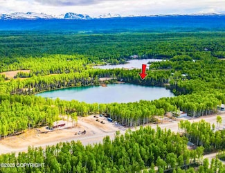 19553 E Good Land Dr, Willow, AK 99688