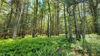 Lot 4 Steges Rd, Eldred, NY 12719