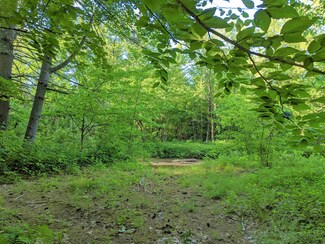 70 Newman Drew Rd, Ossipee, NH 03890