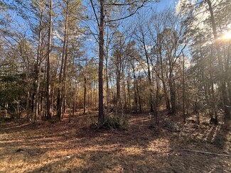 0 W Union Rd Parcel B, Carriere, MS 39426