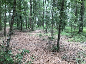 0 SW 109 Ave, Gainesville, FL 32608