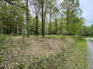 Lot 29 Oak Dr, Albright, WV 26519